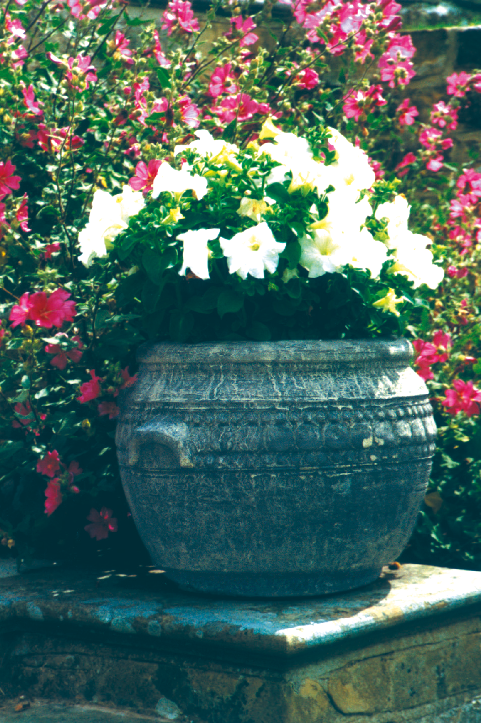 roman urn stone garden statue