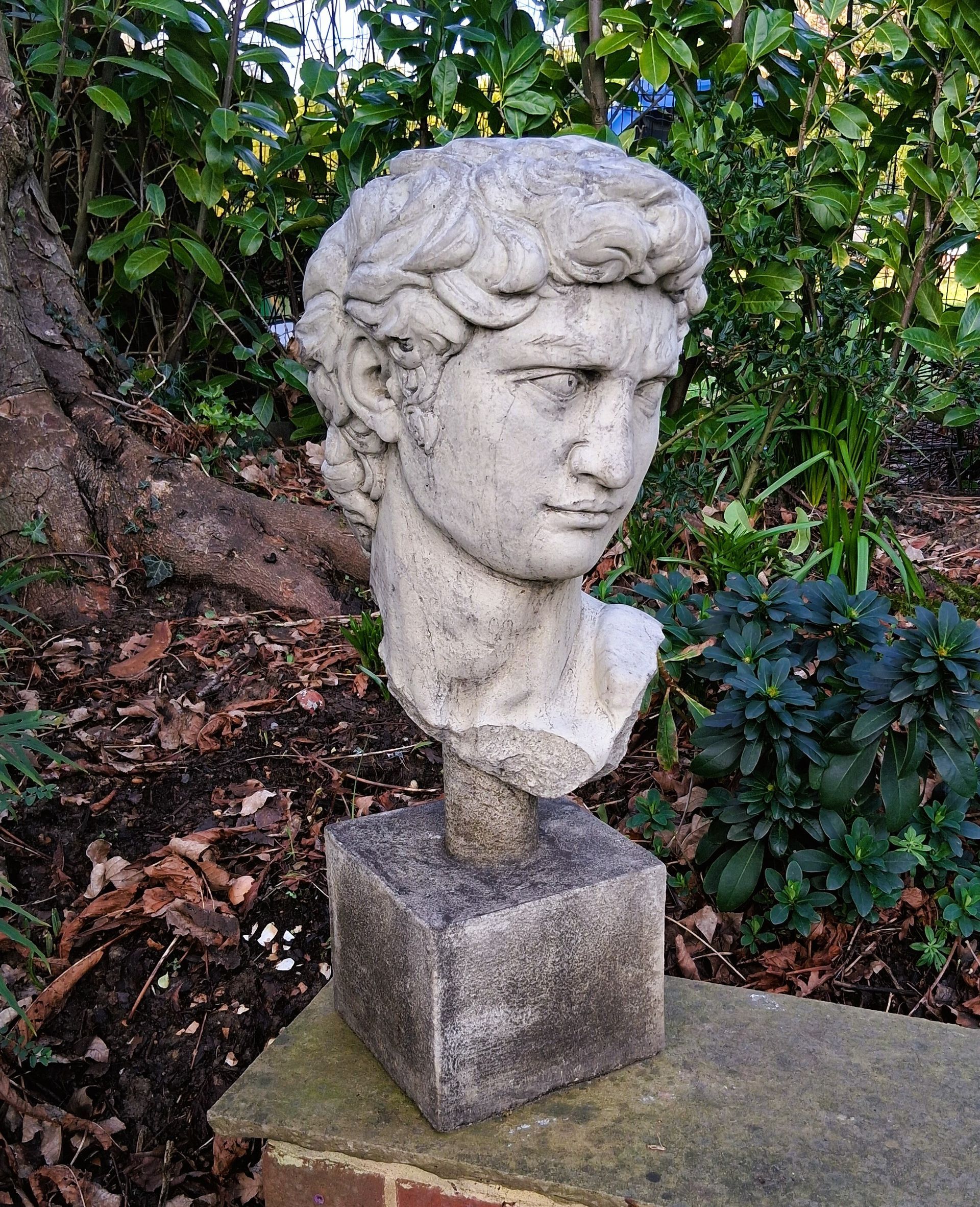 bust Michelangelo boy david stone garden statue 
