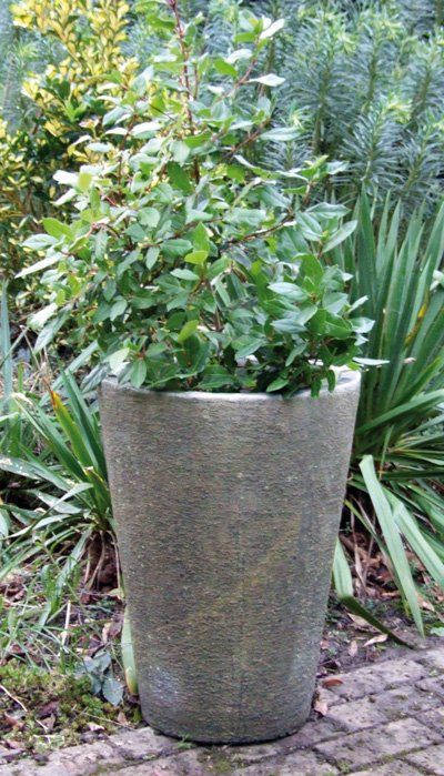 stone garden statue grand long tom