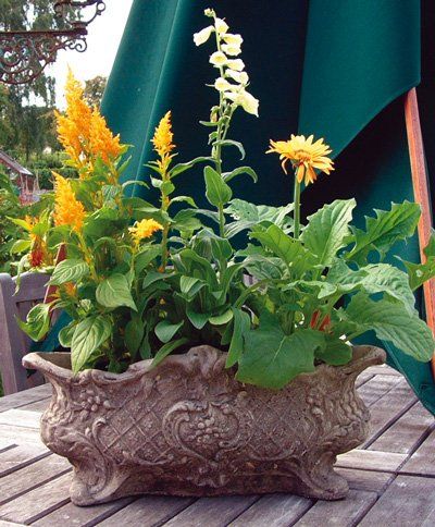 stone garden statue vienna vase 26