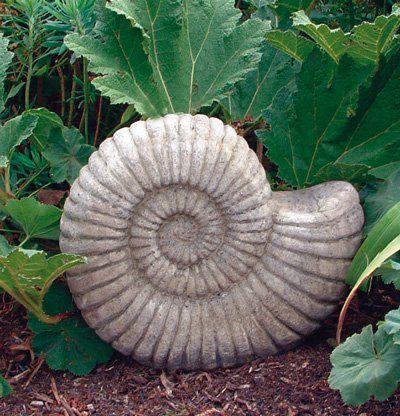 stone garden statue grand ammonite shell fossil