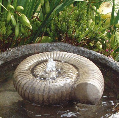 stone garden statue large ammonite fountain