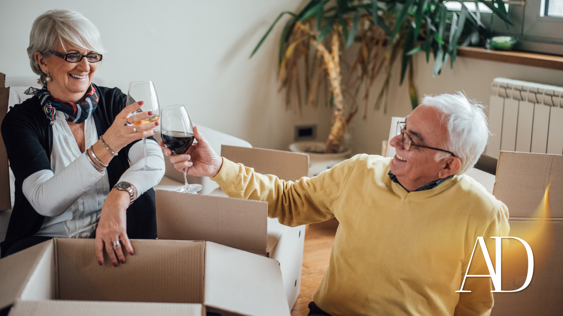 An elderly couple is toasting with wine while sitting in a cardboard box.