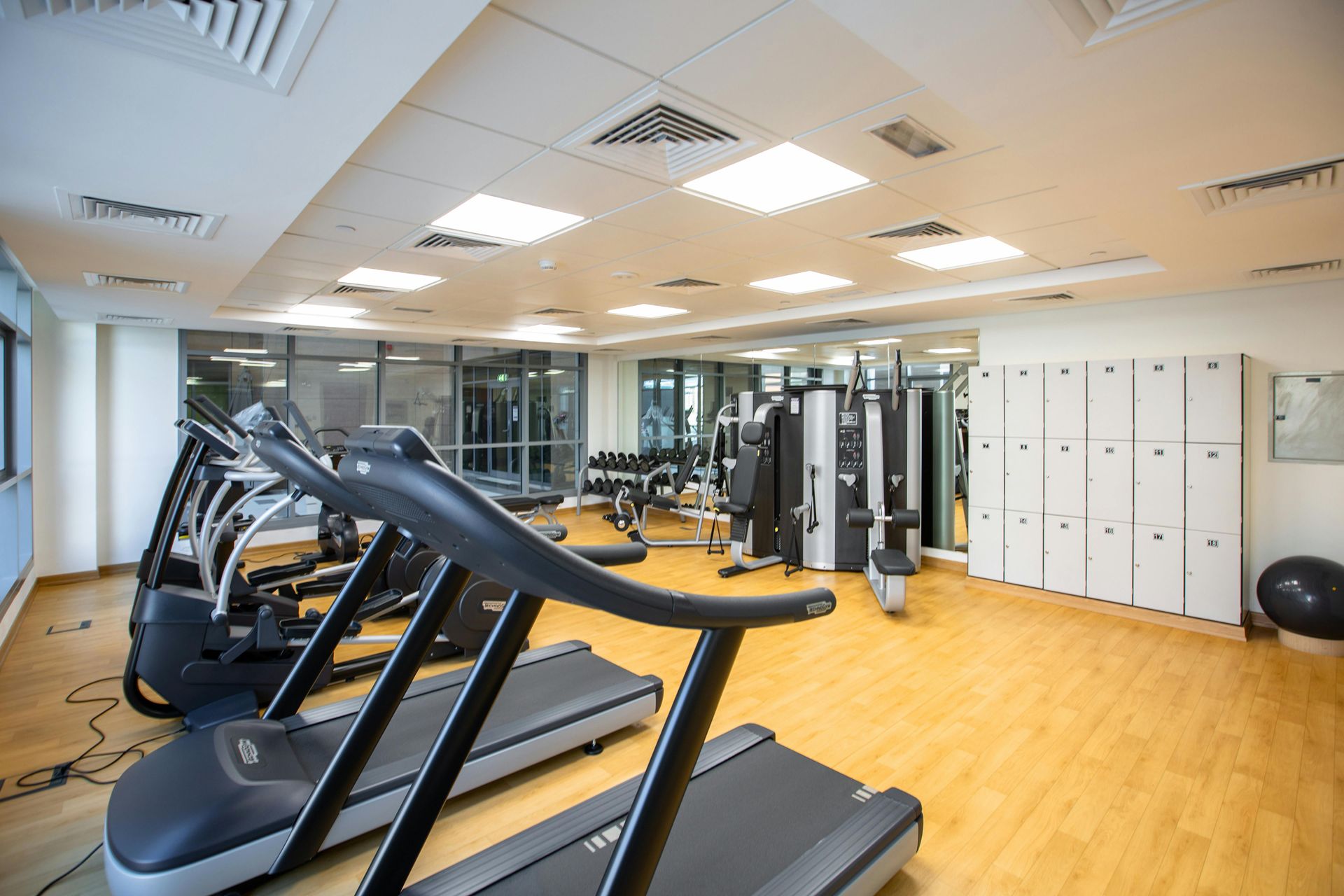 Modern gym with treadmills, weight machines, and bright overhead lighting