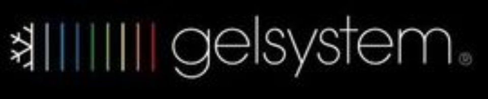 Logo Gelsystem