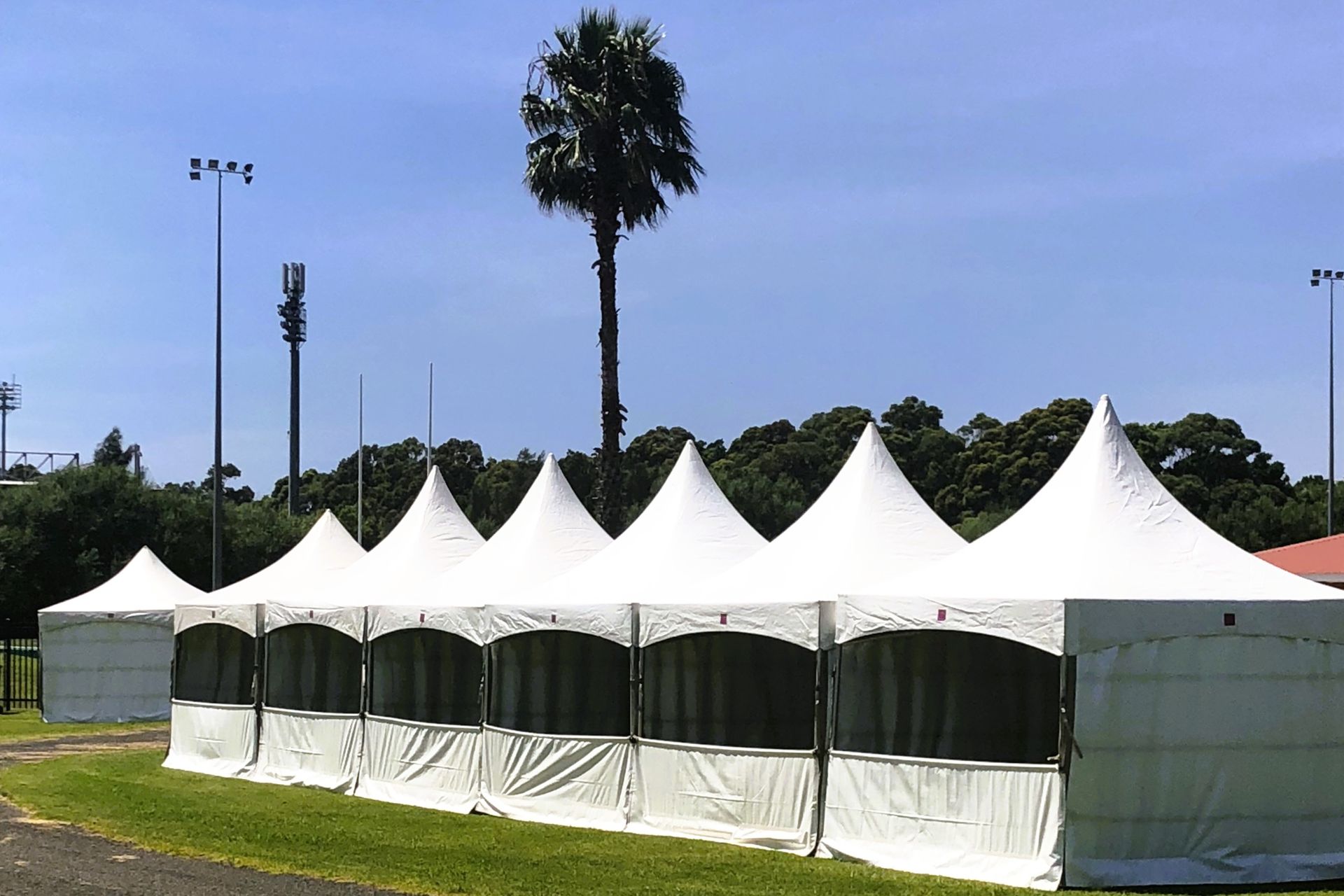 A row of white tents with a palm tree in the background