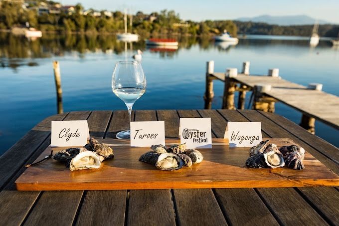 A wooden table with oysters and a glass of wine on it.