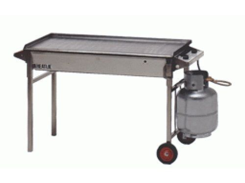 A stainless steel grill with a propane tank attached to it