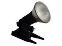 A close up of a lamp on a white background.