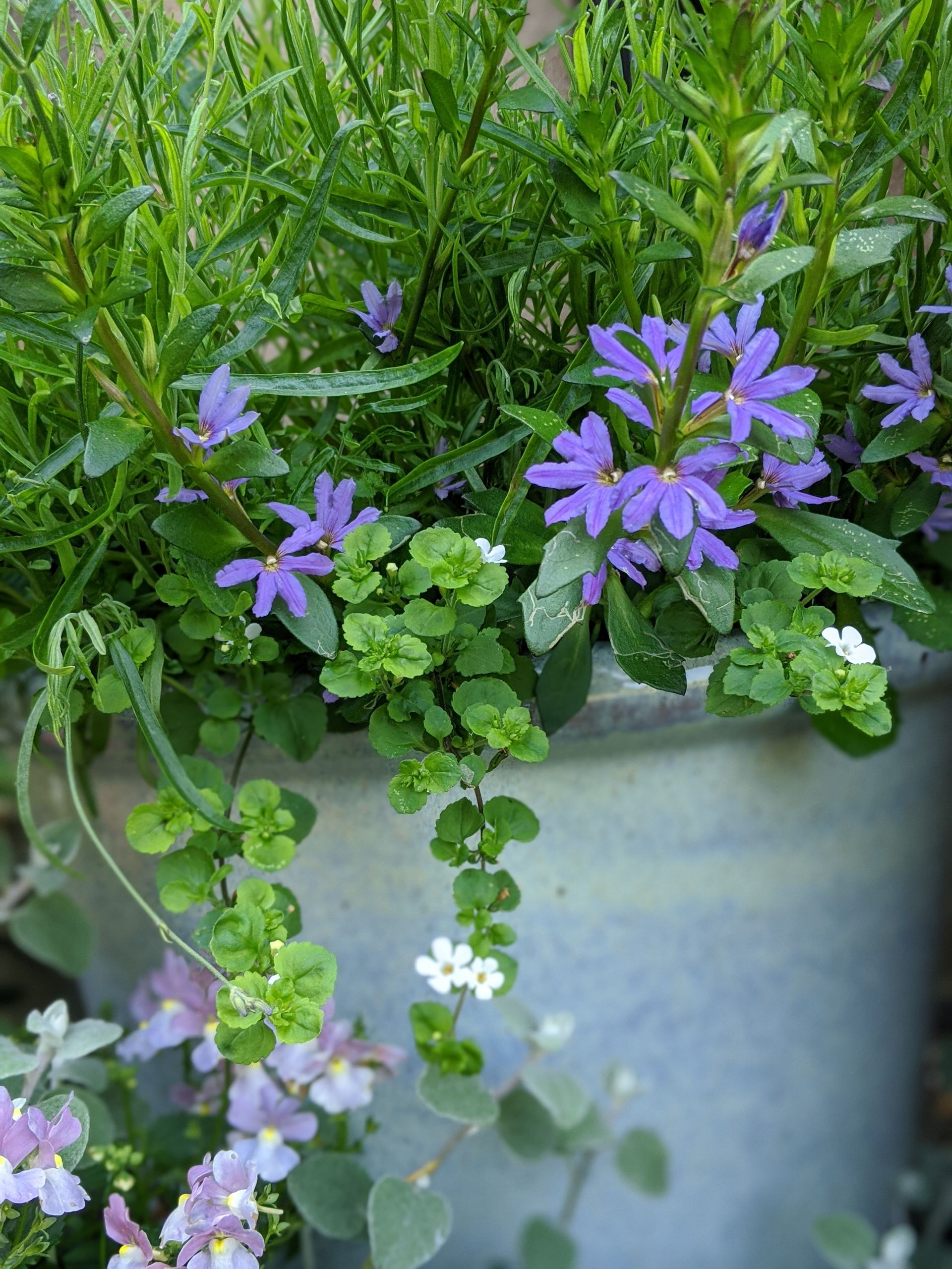 Sacred Space Gallery - Photographs by Sue Cartwright, Spiral Leaf