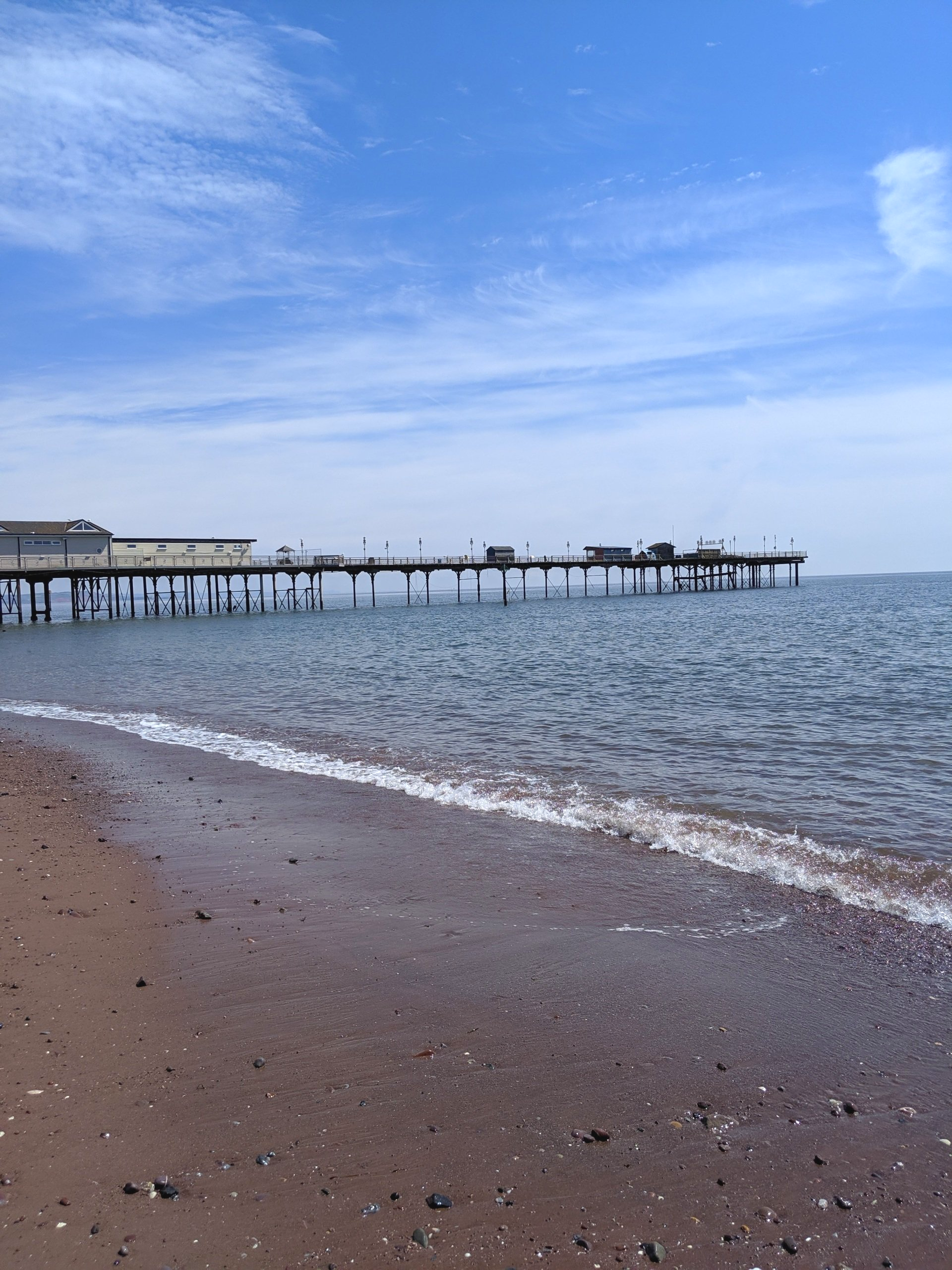 Seaside Gallery - Photograph by Sue Cartwright, Spiral Leaf