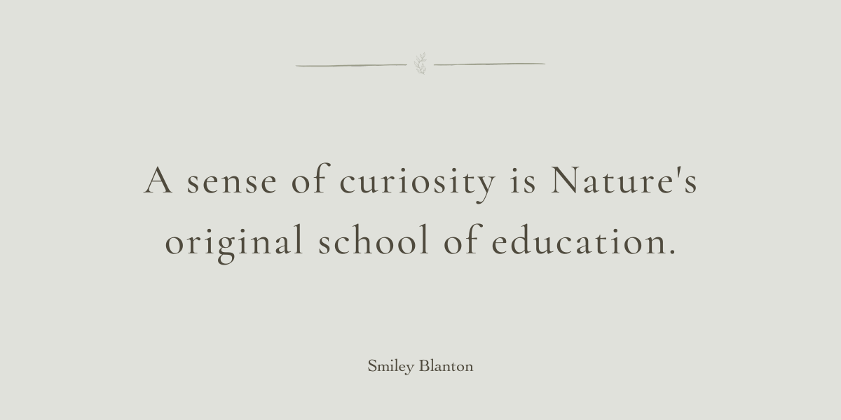 The Nature of Curiosity by Sue Cartwright, Spiral Leaf