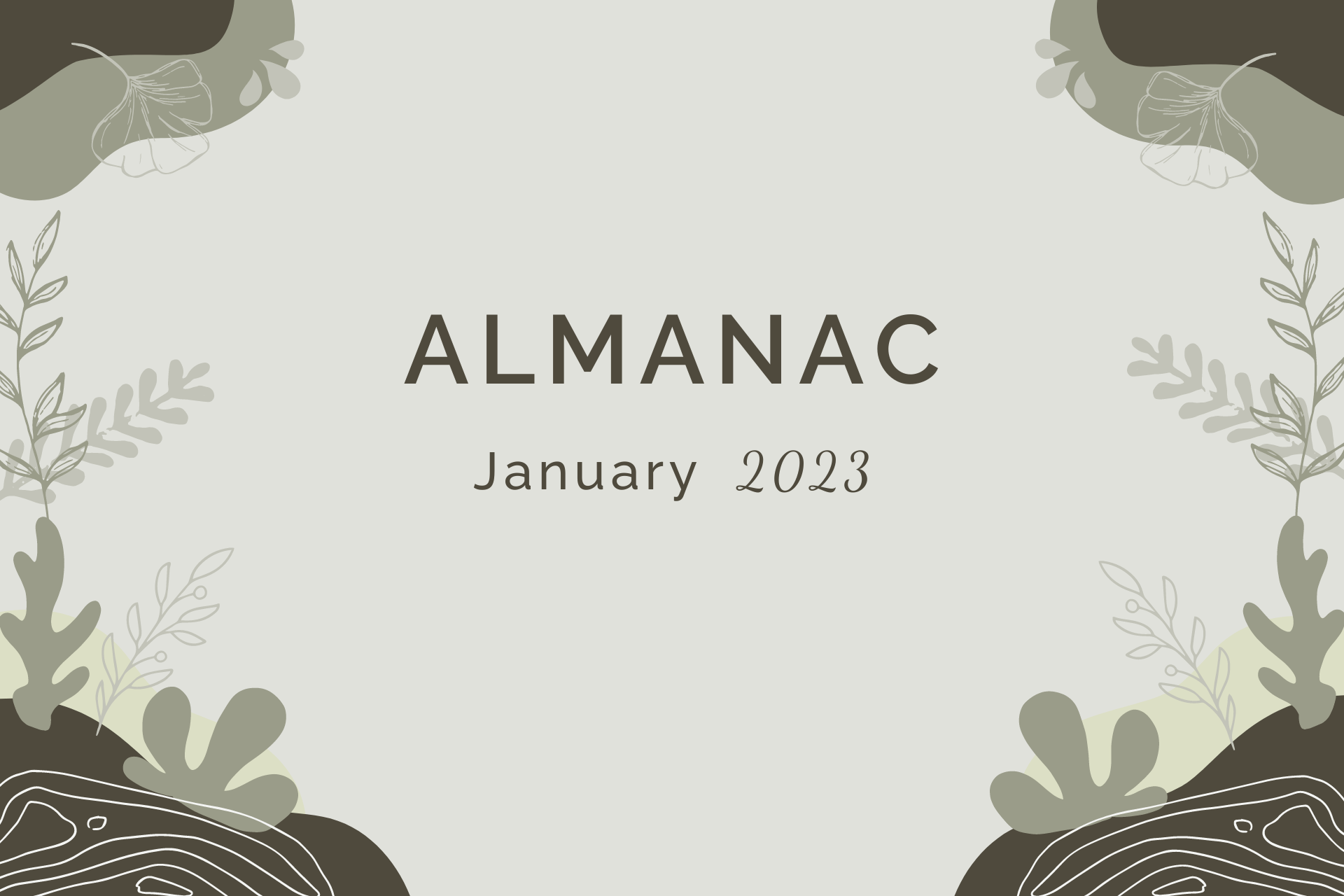 Almanac for January 2023 by Sue Cartwright, Spiral Leaf