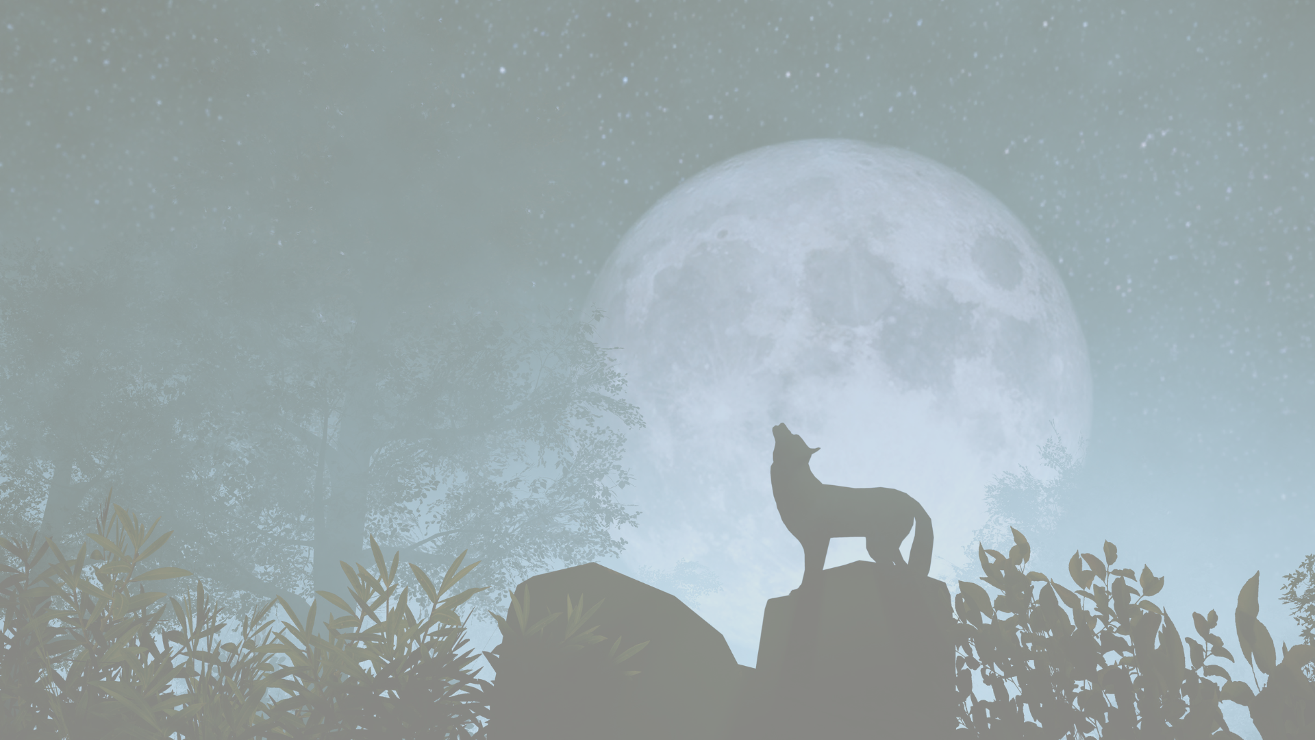 A poem about the energy of the Wolf Supermoon in Cancer