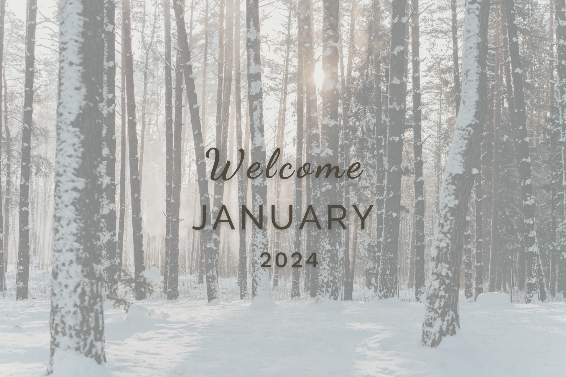 Welcome January (Almanac 2024 ) by Sue Cartwright, Spiral Leaf