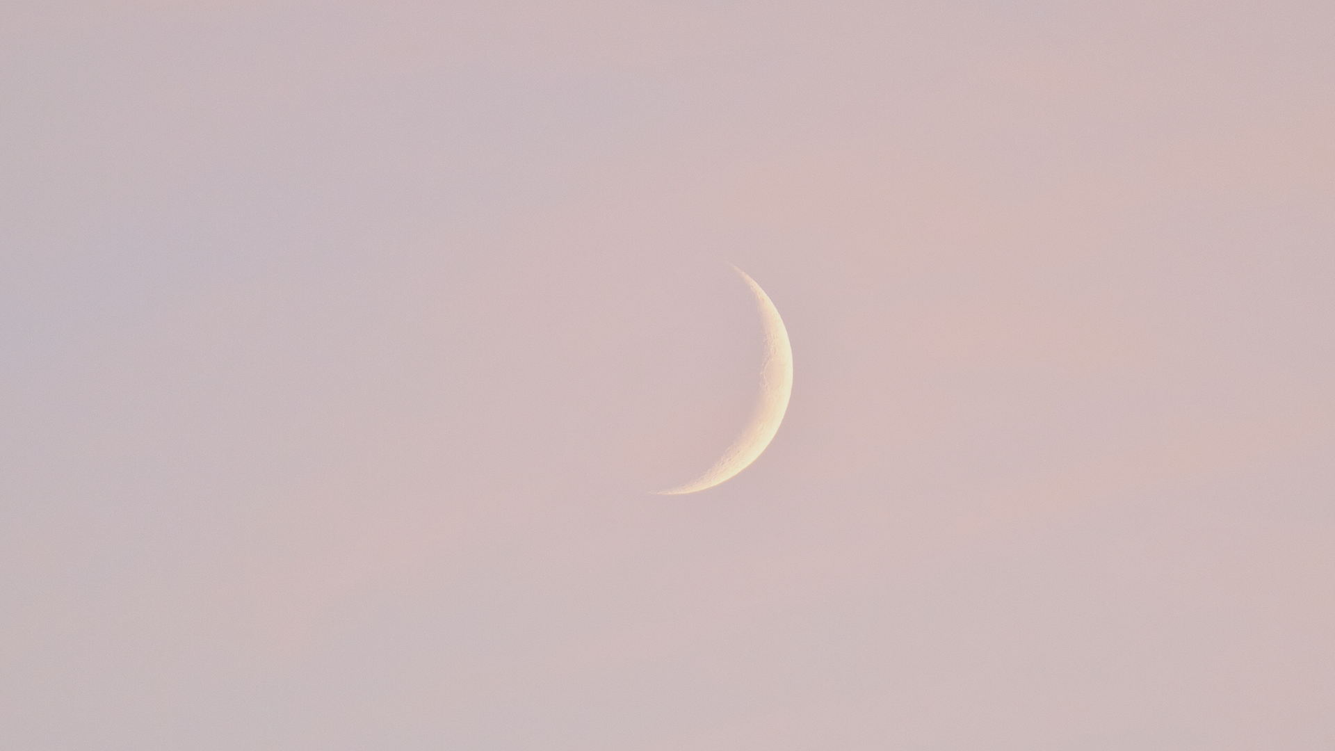 A poem about the energy of the New Pink Moon in Pisces