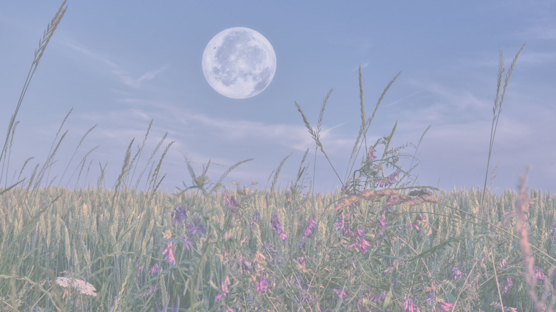 A poem abouot the Full Flower Moon in Scorpio