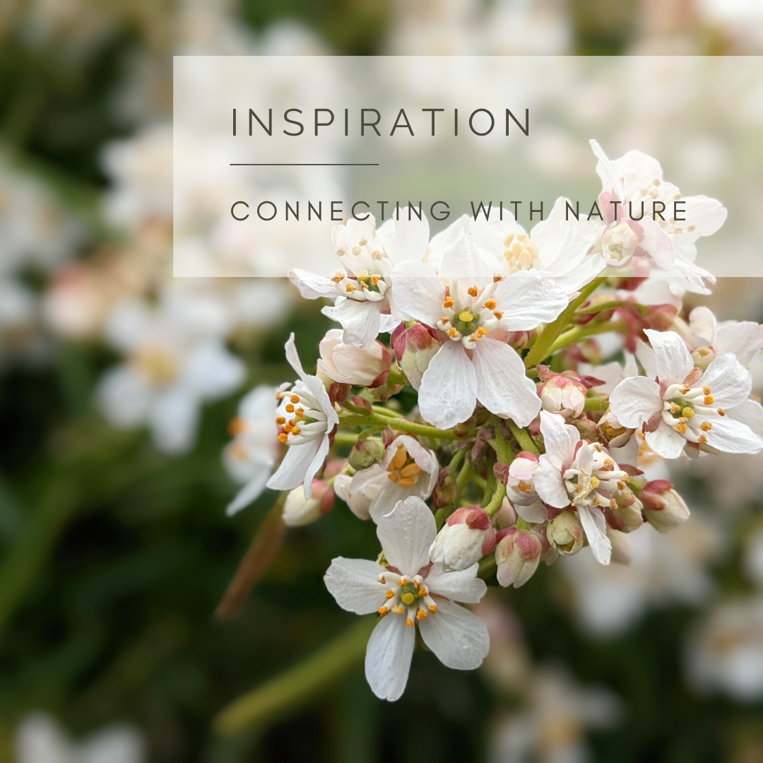 Inspiration, Nurturing our Connection by Sue Cartwright, Spiral Leaf