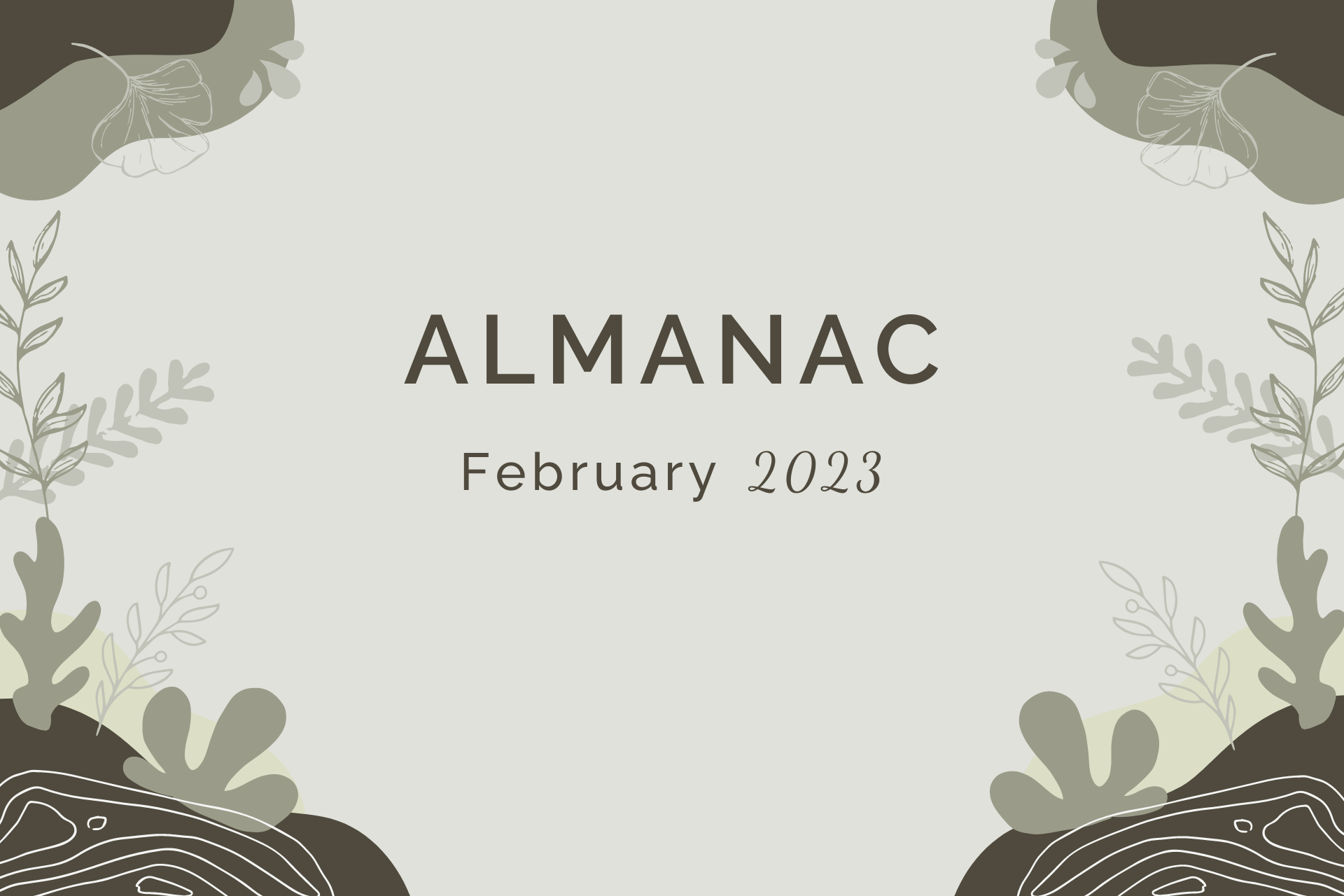 Almanac for February 2023 by Sue Cartwright, Spiral Leaf