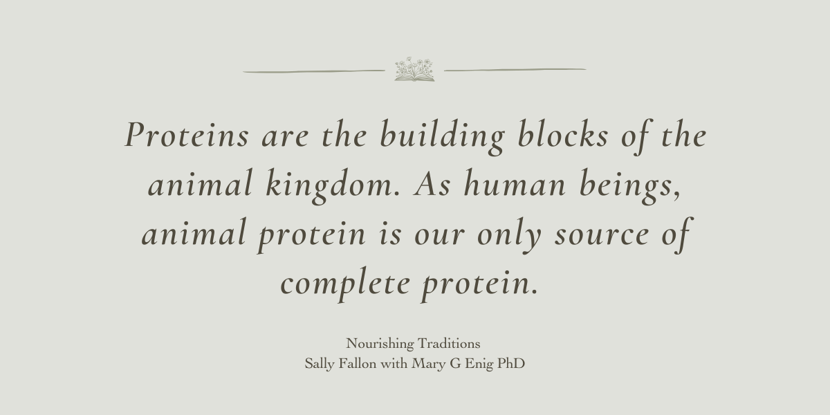 Nourishing Traditions by Sally Fallon with Mary G Enig PhD - Book Review by Sue Cartwright, Spiral Leaf Nourishing Traditions by Sally Fallon with Mary G Enig PhD - Book Review by Sue Cartwright, Spiral Leaf