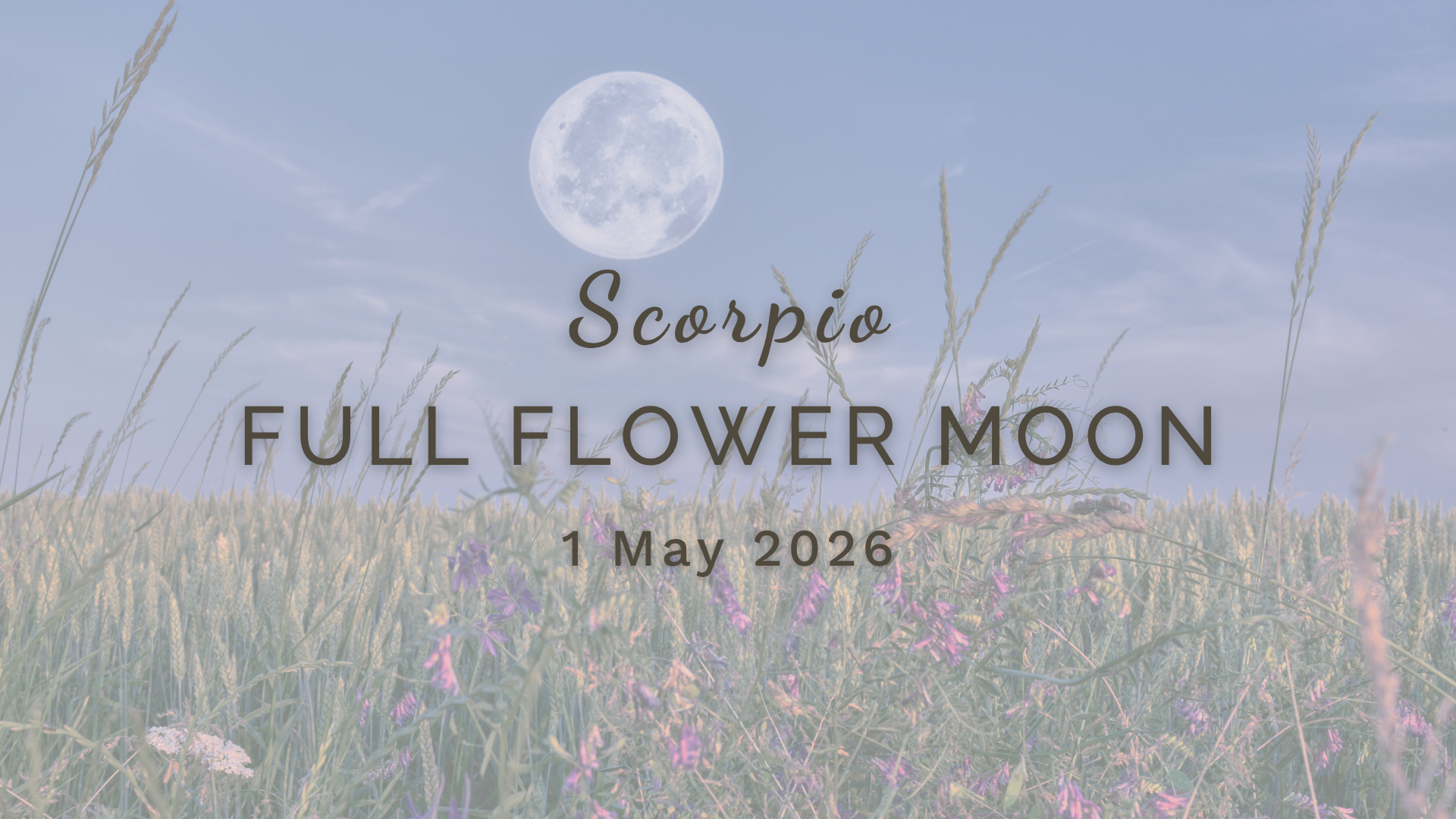 Full Flower Moon in Scorpio - Friday 1 May (2026) by Sue Cartwright, Spiral Leaf Full Flower Moon in Scorpio - Friday 1 May (2026) by Sue Cartwright, Spiral Leaf