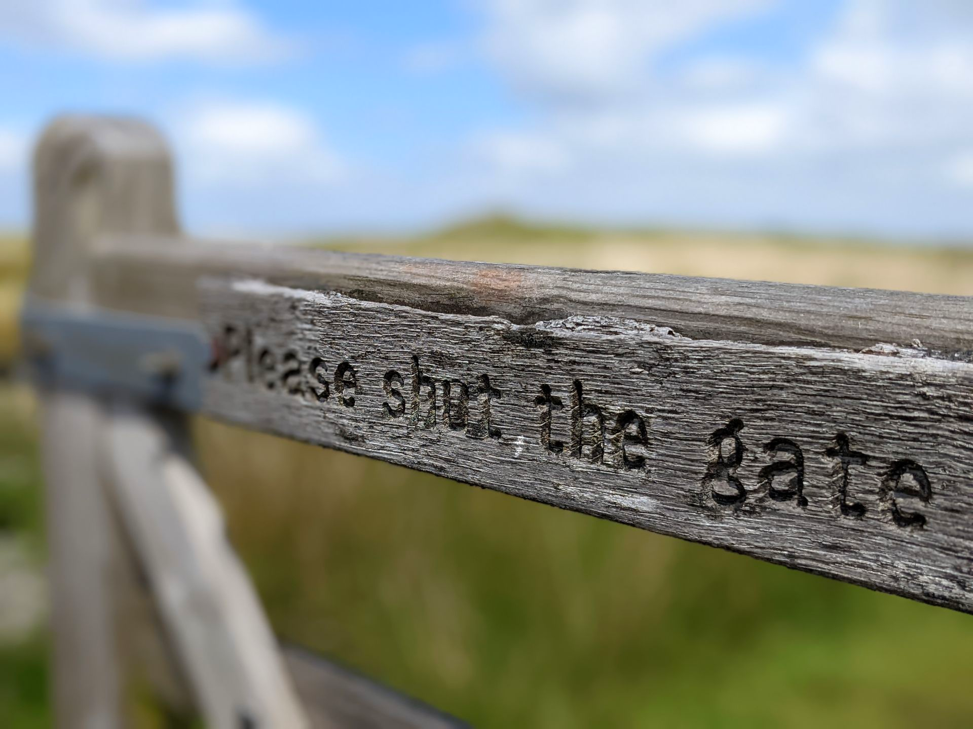 Summer Sun Gallery - Photographs by Sue Cartwright, Spiral Leaf