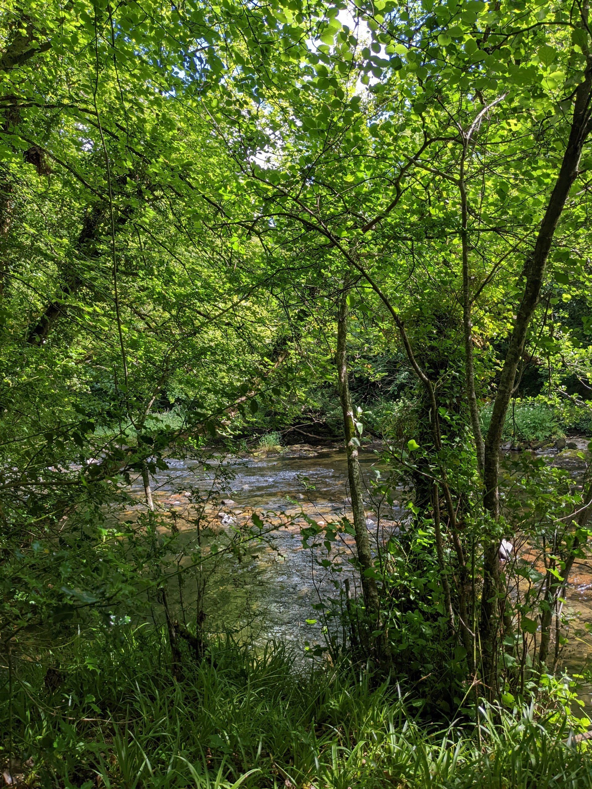 Walking In Nature - Photographby Sue Cartwright, Spiral Leaf