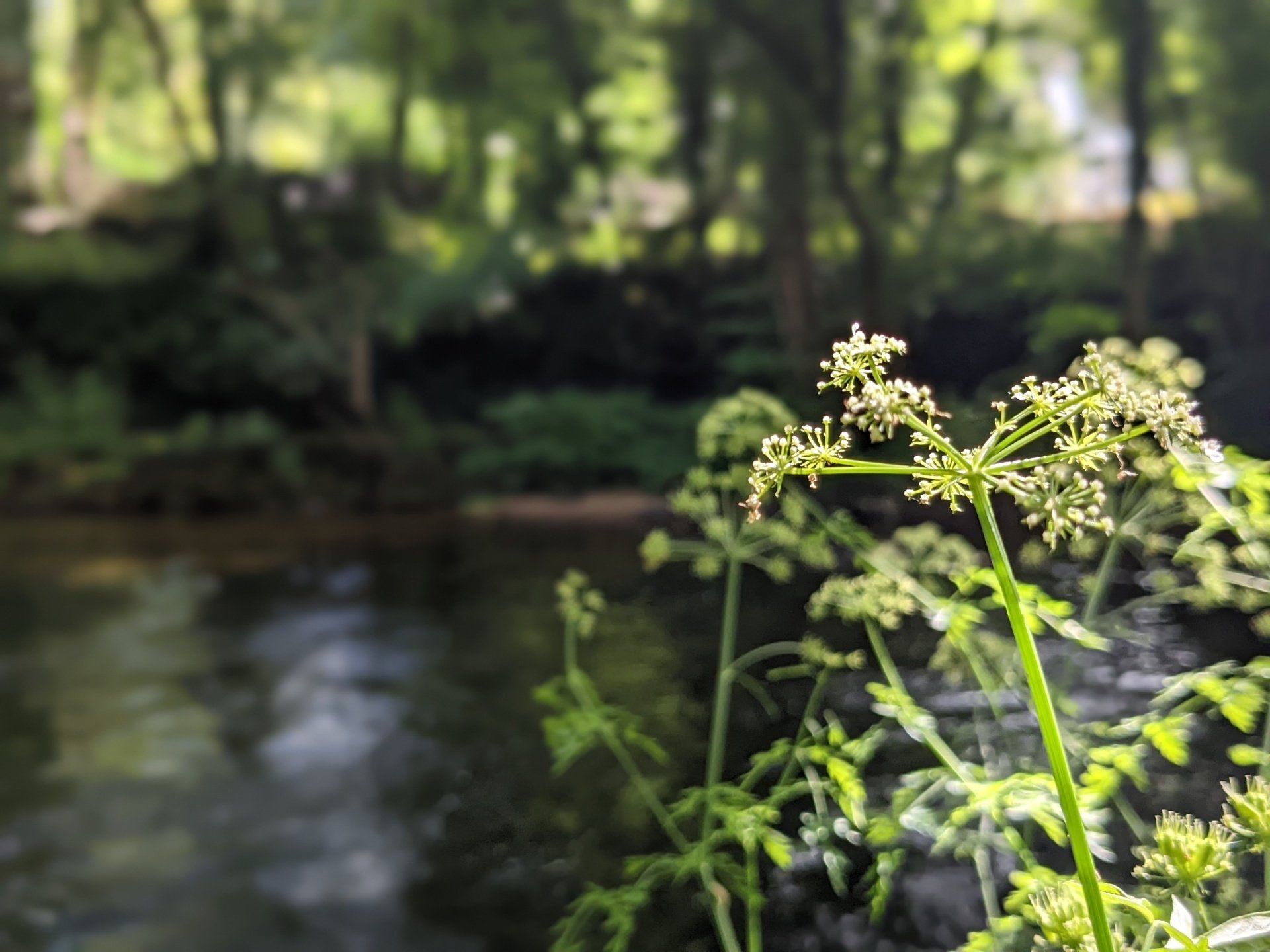 Walking In Nature- Photograph by Sue Cartwright, Spiral Leaf