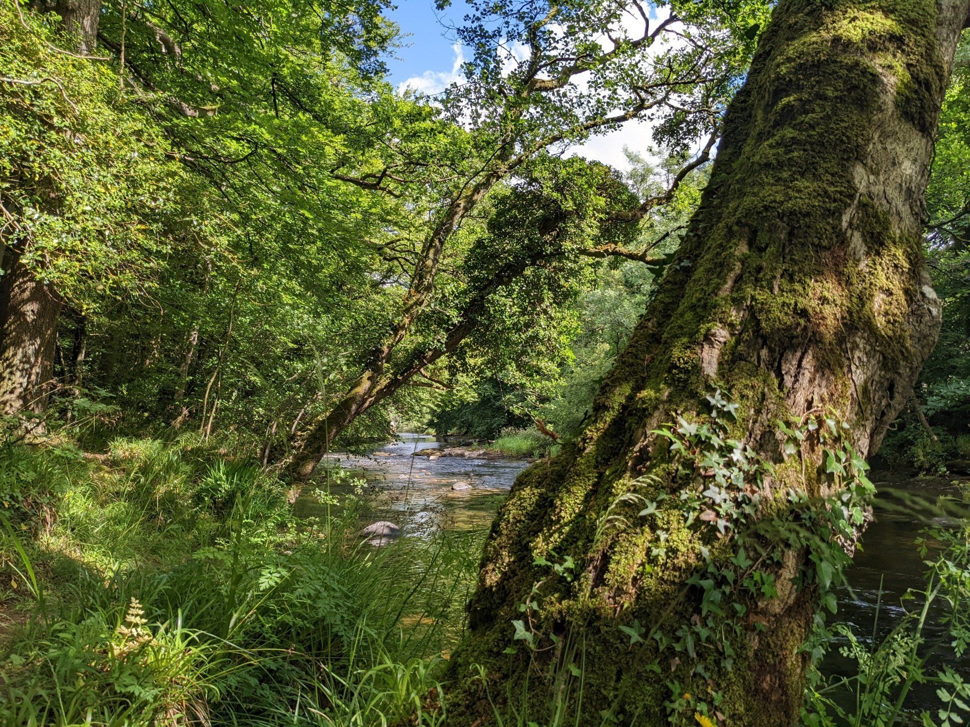 Walking in Nature - Photographby Sue Cartwright, Spiral Leaf