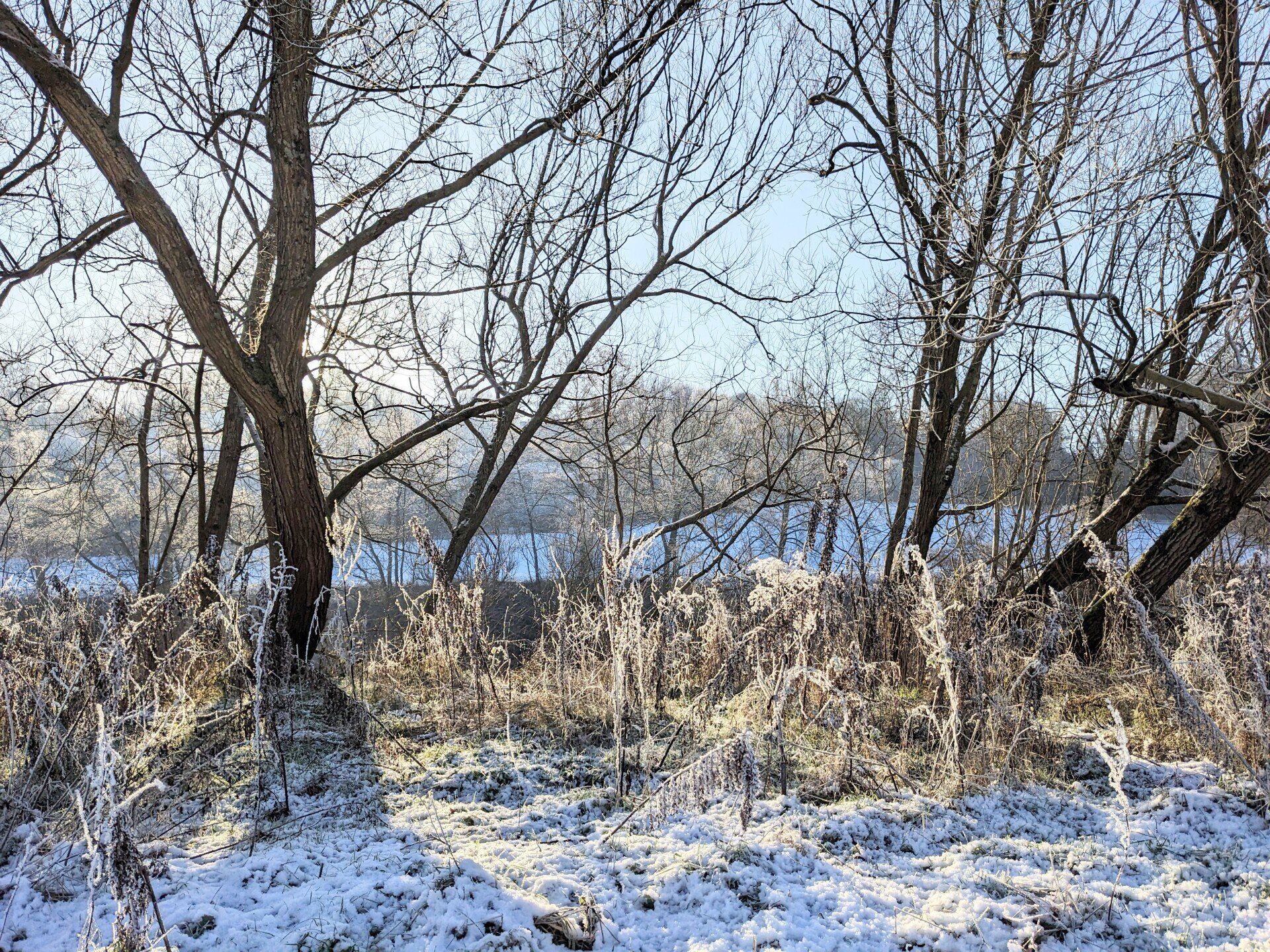 New Snow Moon in Aquarius by Sue Cartwright, Spiral Leaf