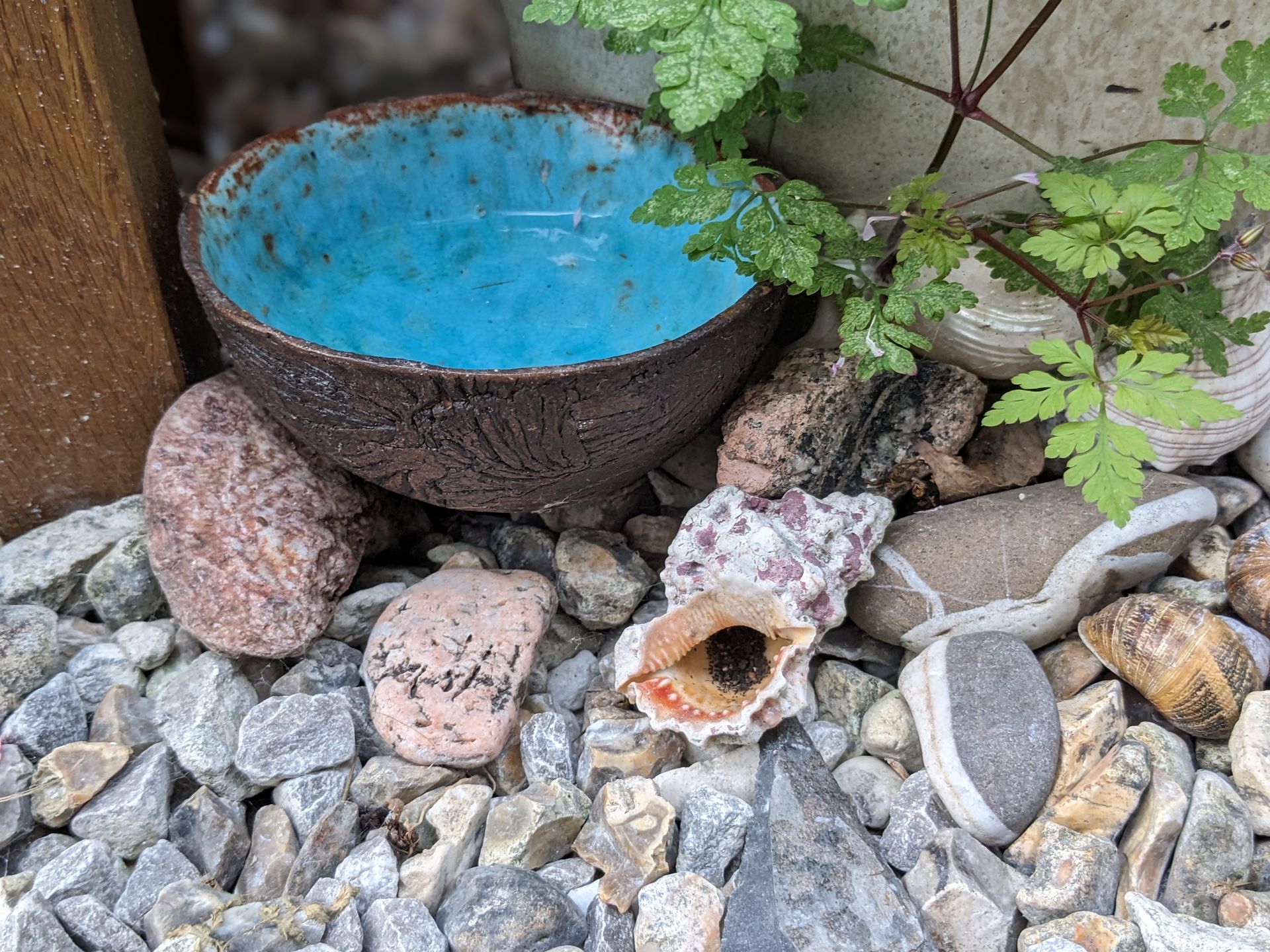 Sacred Space Gallery - Photographs by Sue Cartwright, Spiral Leaf