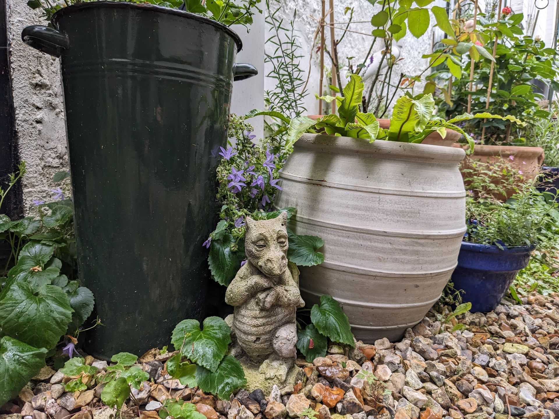 Sacred Space Gallery - Photographs by Sue Cartwright, Spiral Leaf