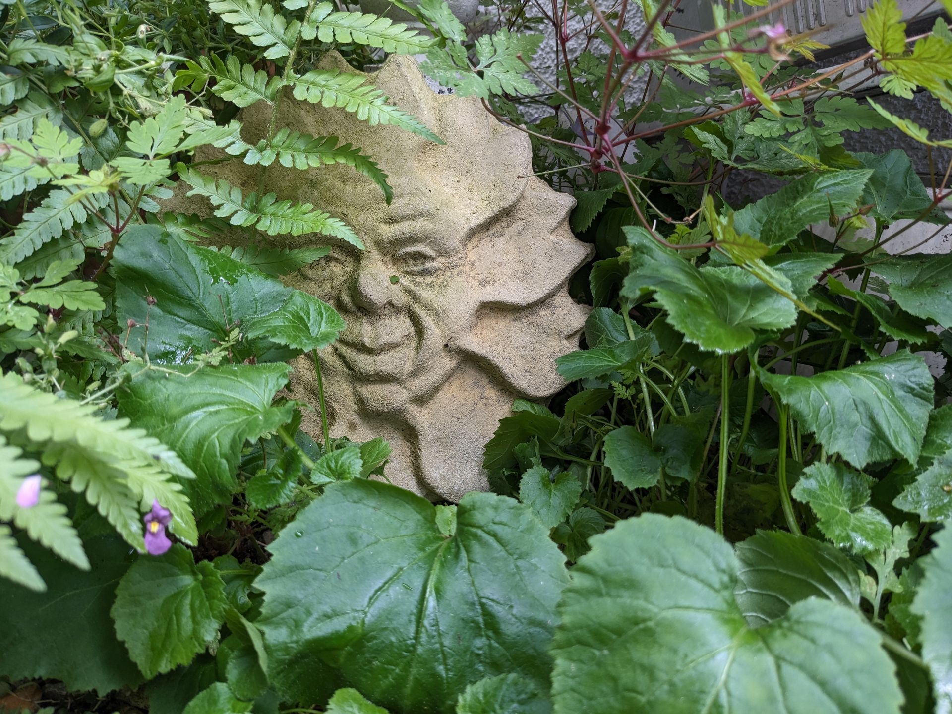 Sacred Space Gallery - Photographs by Sue Cartwright, Spiral Leaf