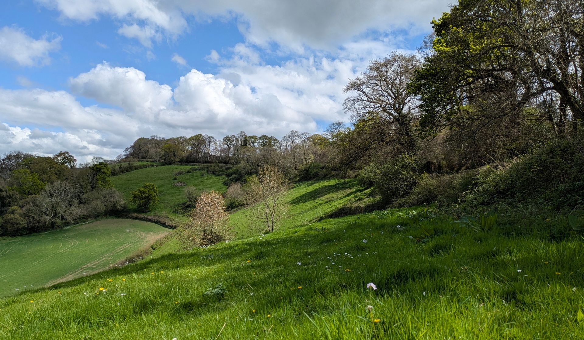 Healing Garden Gallery - Photograph by Sue Cartwright, Spiral Leaf