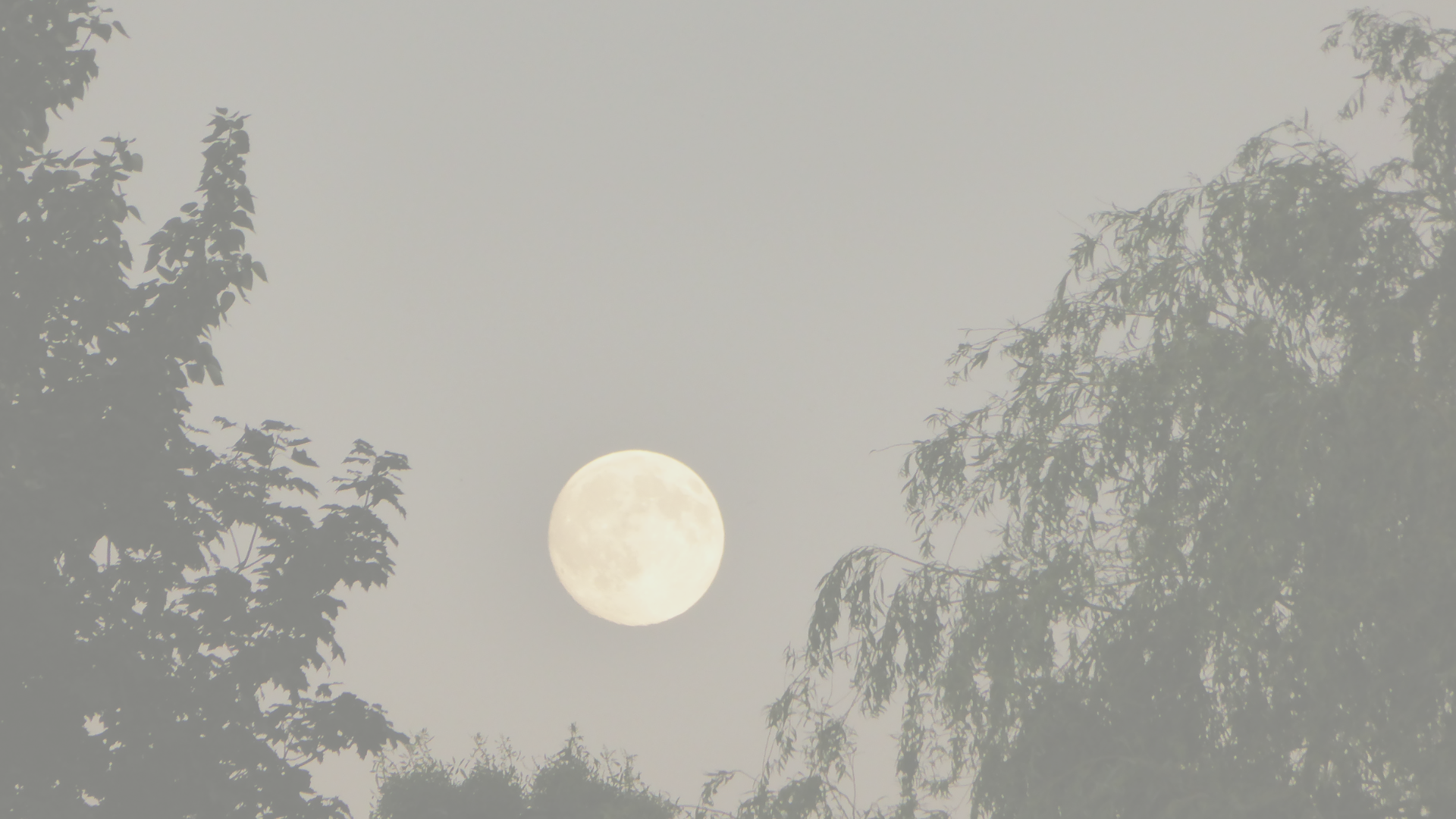 A poem about the regenerative energy of the full Buck Moon in Capricorn on Thursday 10 July 2025