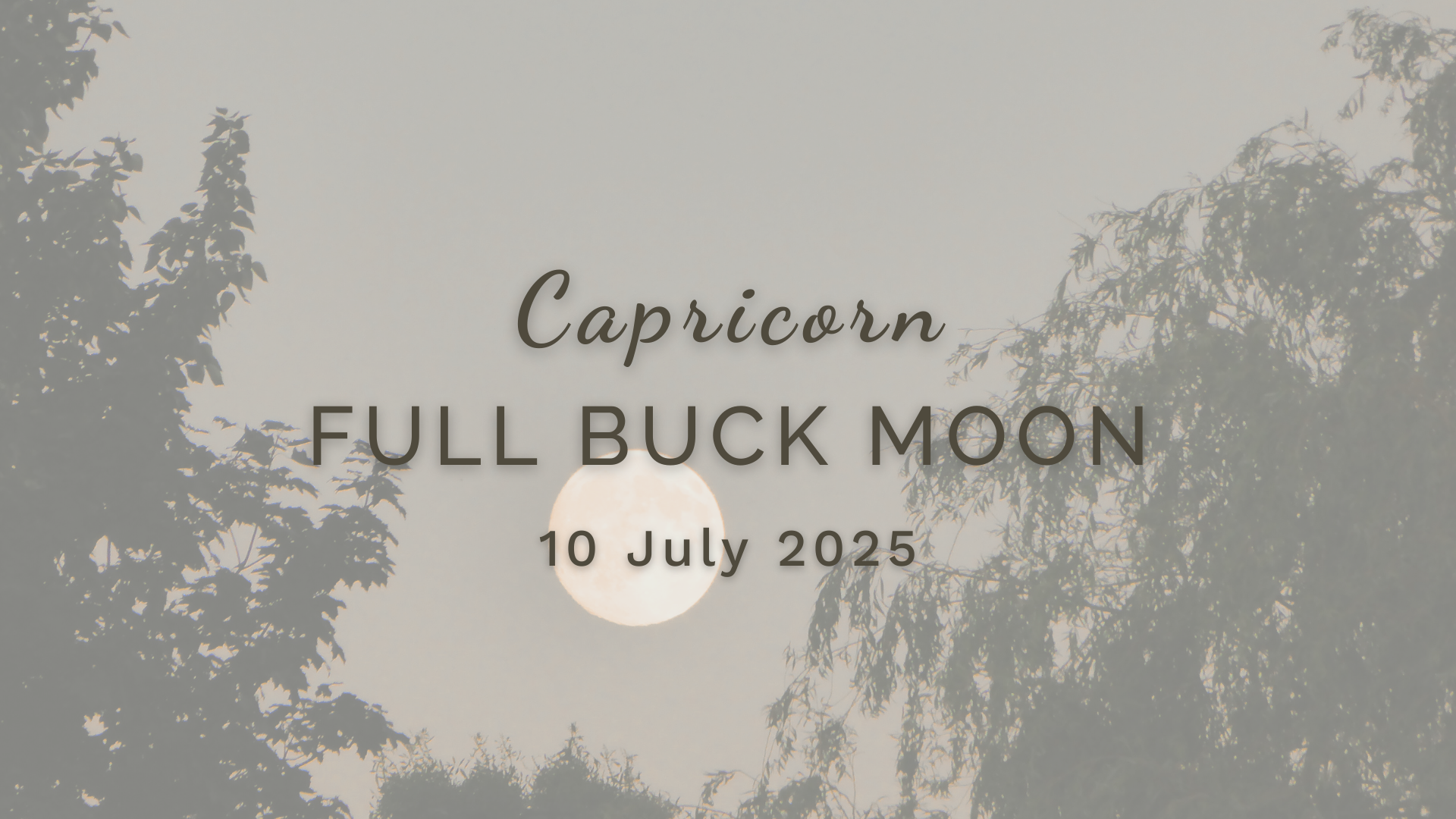 Full Buck Moon in Capricorn - Thursday 10 July (2025) by Sue Cartwright, Spiral Leaf Full Buck Moon in Capricorn - Thursday 10 July (2025) by Sue Cartwright, Spiral Leaf