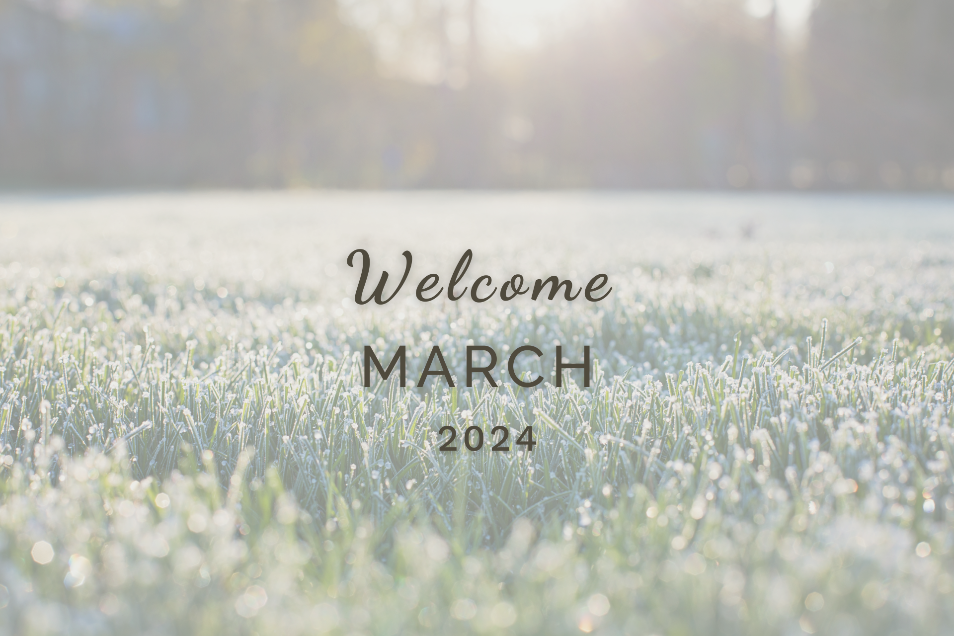 Welcome March 2024 by Sue Cartwright, Spiral Leaf