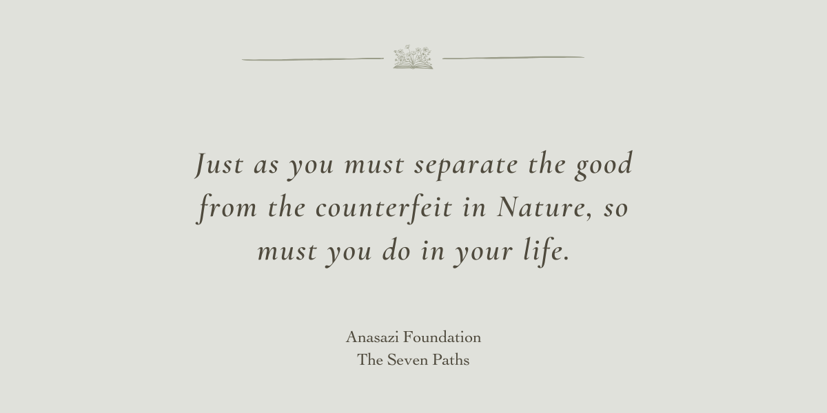 The Seven Paths by Anasazi Foundation - A Book Review by Sue Cartwright, Spiral Leaf The Seven Paths by Anasazi Foundation - A Book Review by Sue Cartwright, Spiral Leaf