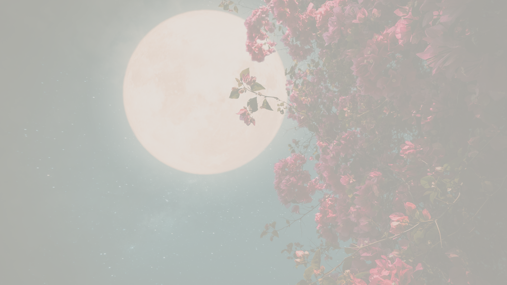 A poem about the energy of the Full Buck Moon in Capricorn