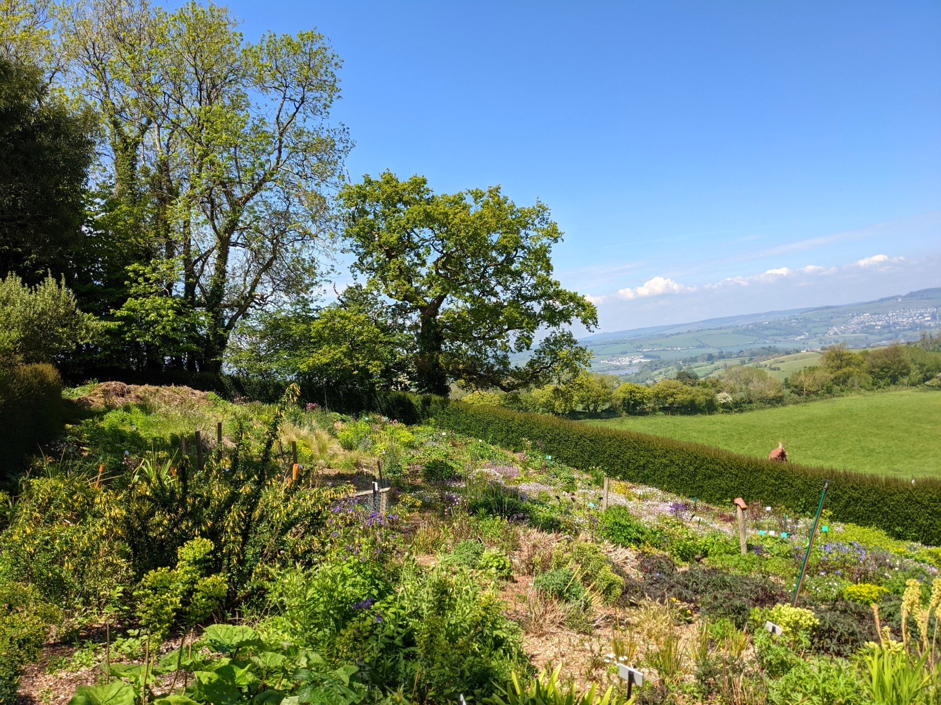 Summer Sun Gallery - Photographs by Sue Cartwright, Spiral Leaf