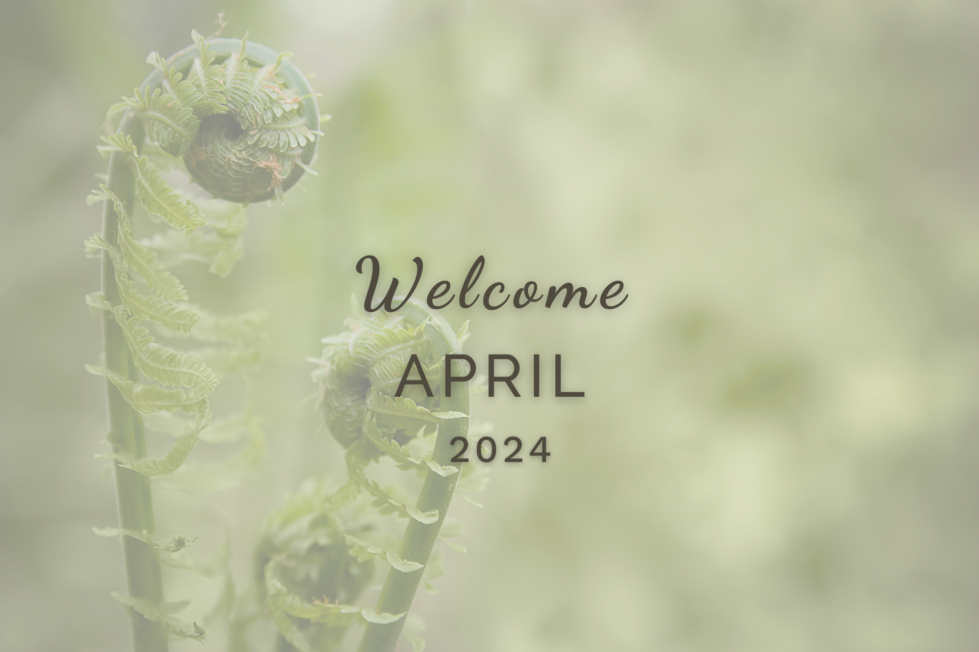 Welcome April 2024 by Sue Cartwright, Spiral Leaf