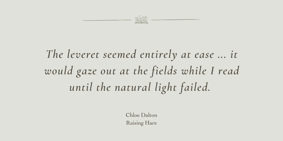 Raising Hare by Chloe Dalton - A Book Review by Sue Cartwright, Spiral Leaf Raising Hare by Chloe Dalton - A Book Review by Sue Cartwright, Spiral Leaf
