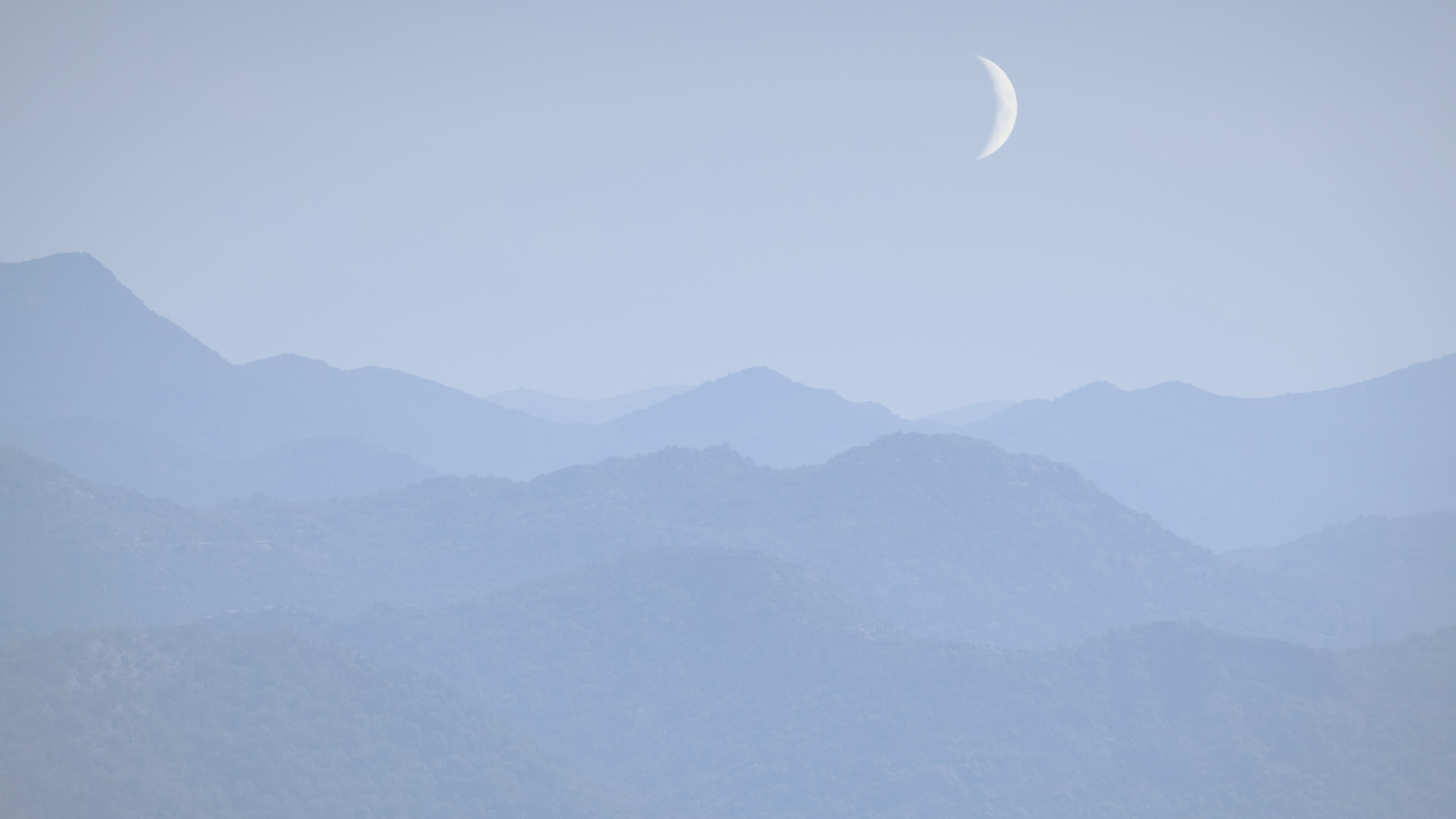 A poem about the energy of the New Wolf Moon in Sagittarius