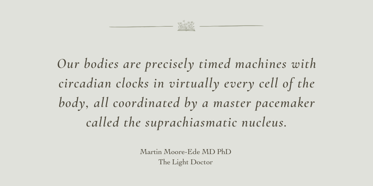 The Light Doctor by Martin Moore-Ede MD PhD - A Book Review by Sue Cartwright, Spiral Leaf