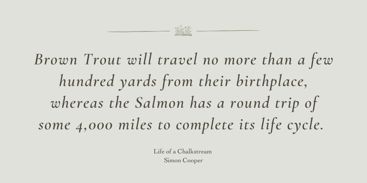 Life on a Chalkstream by Simon Cooper - Book Review by Sue Cartwright, Spiral Leaf Life on a Chalkstream by Simon Cooper - Book Review by Sue Cartwright, Spiral Leaf