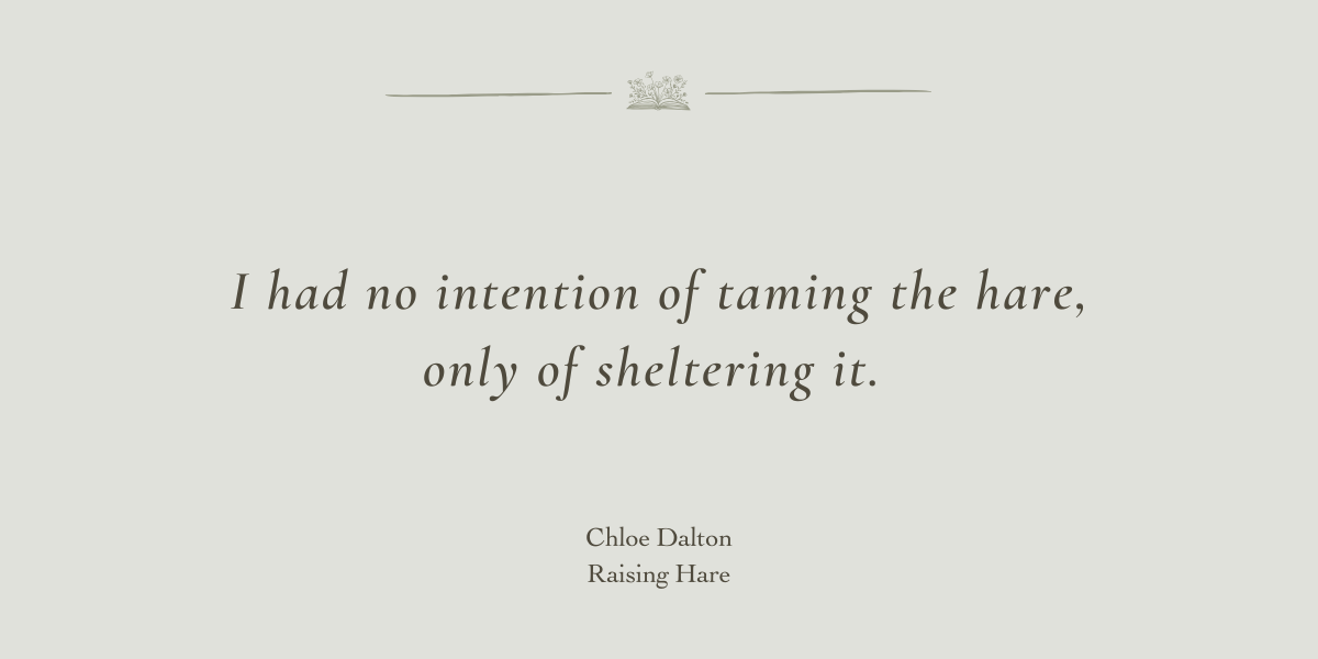 Raising Hare by Chloe Dalton - A Book Review by Sue Cartwright, Spiral Leaf Raising Hare by Chloe Dalton - A Book Review by Sue Cartwright, Spiral Leaf