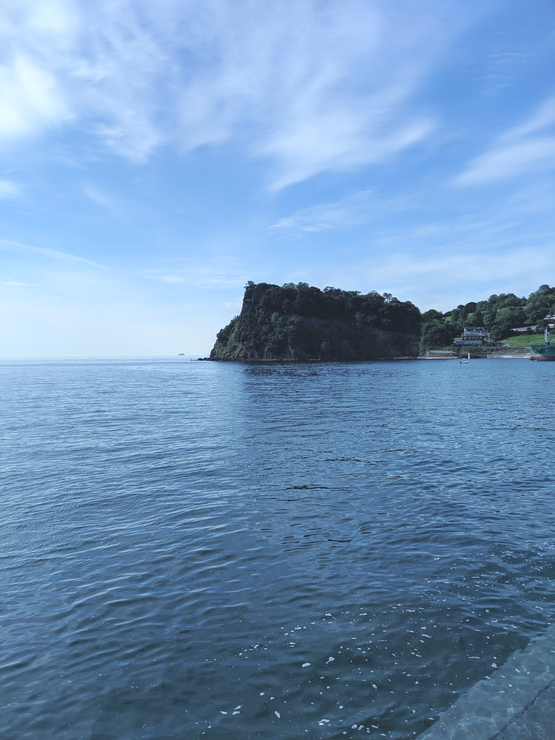 Seaside Gallery - Photograph by Sue Cartwright, Spiral Leaf