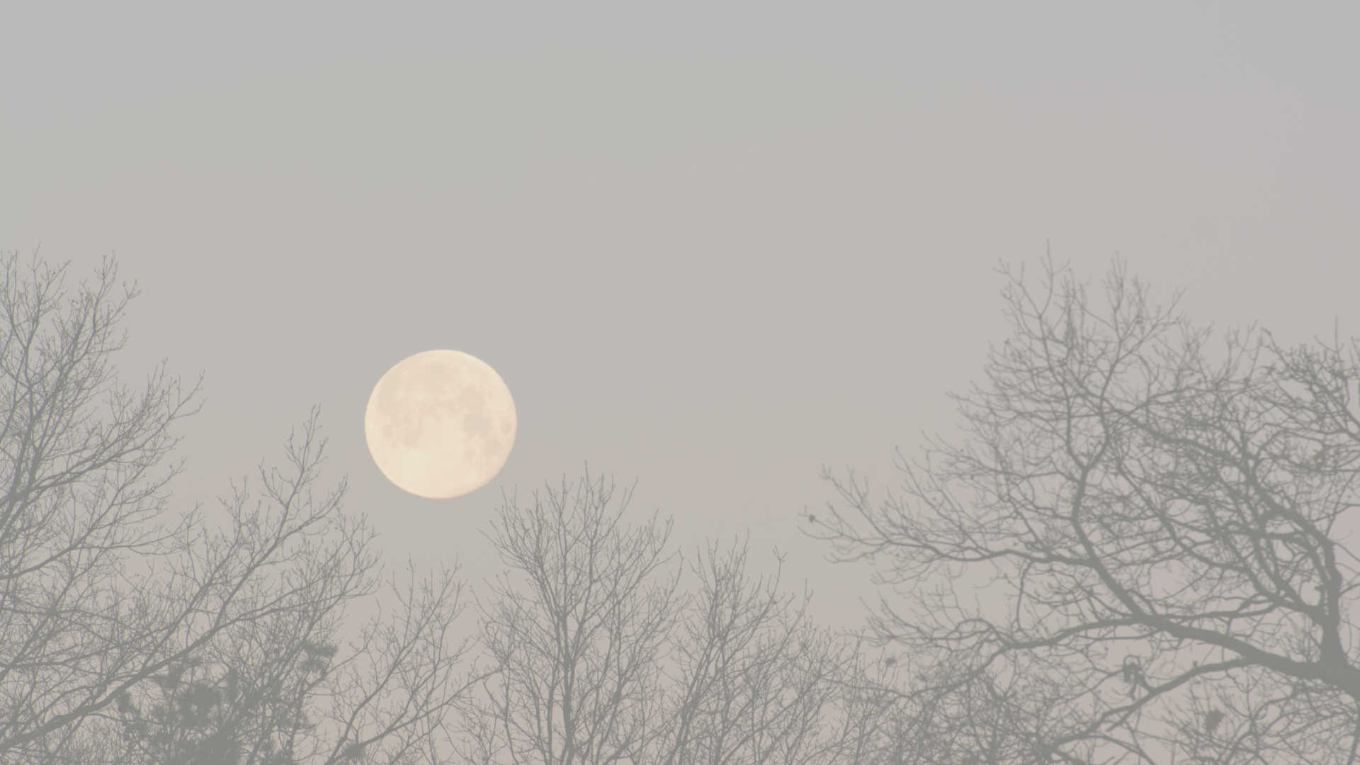 A post about the emergence of Spring under the Full Worm Moon