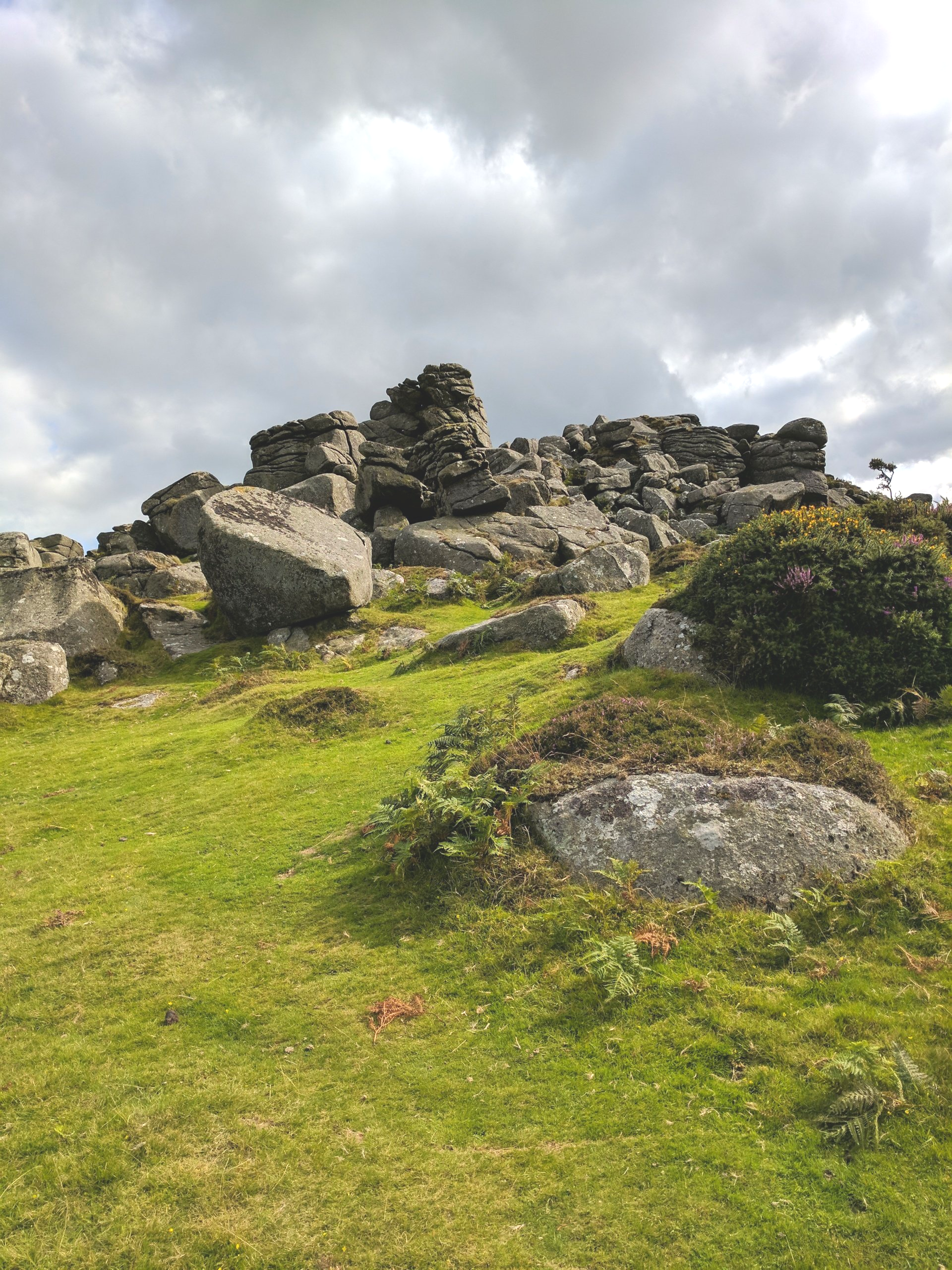 Moorland Gallery - Photograph by Sue Cartwright, Spiral Leaf
