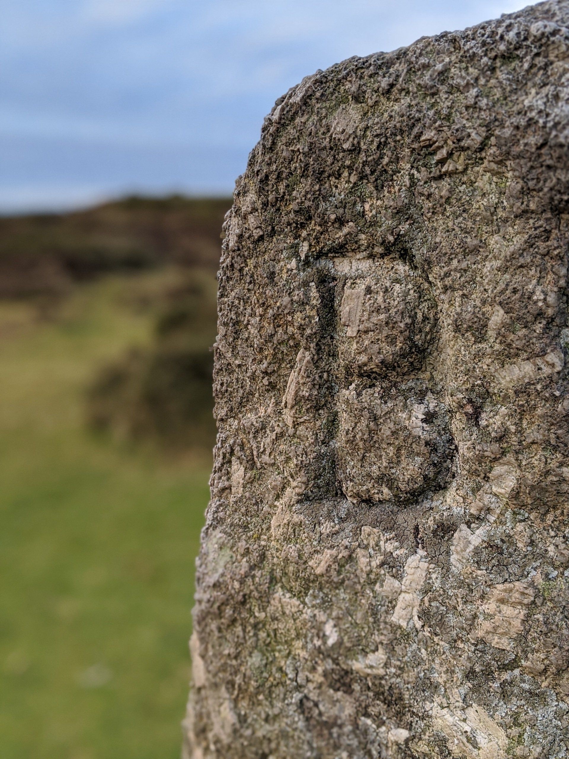Moorland Gallery - Photograph by Sue Cartwright, Spiral Leaf